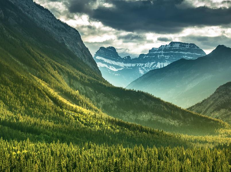 Gerflor Nachhaltigkeit - Engagement