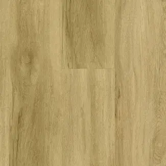 RS32693 LORD HONEY FRONTAL